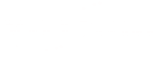 VATSIM Logo